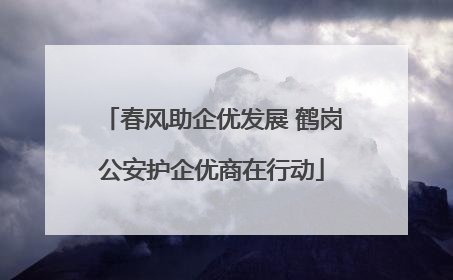 春风助企优发展 鹤岗公安护企优商在行动